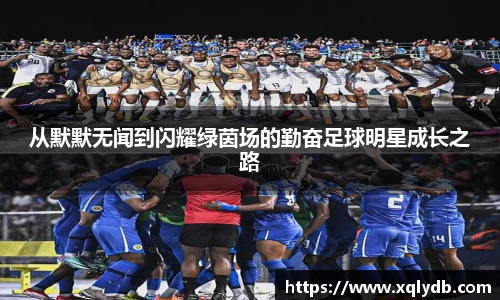 从默默无闻到闪耀绿茵场的勤奋足球明星成长之路
